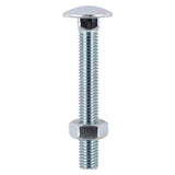 Carriage Bolts & Hex Nuts - (Full Range M10 Head at 100mm-180mm)